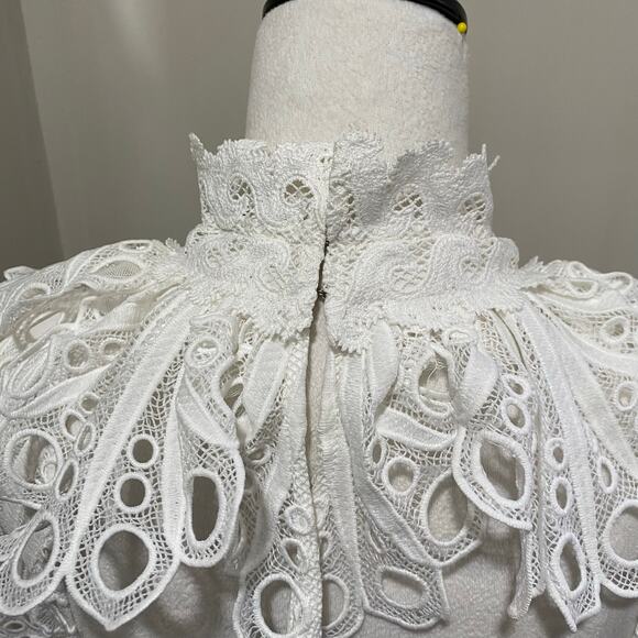 ASOS LUXE Backless Eyelet Ruffle Neck Top Sizes 0 and 4  White Lace Long Sleeve - Picture 11 of 13